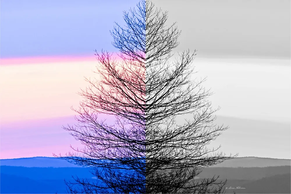 Sherbert Skies Gone Gray