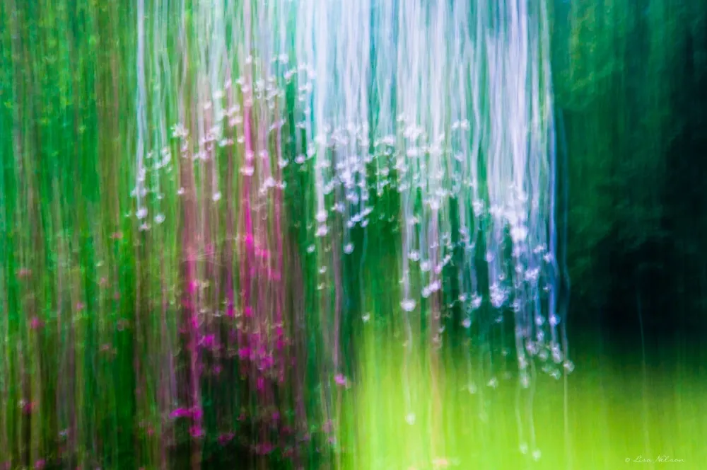 Meadow Veil