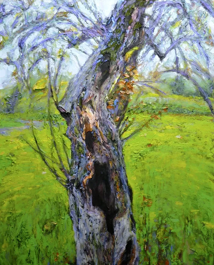 Crab Apple