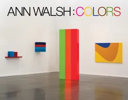 ANN WALSH : COLORS